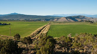 Farmland