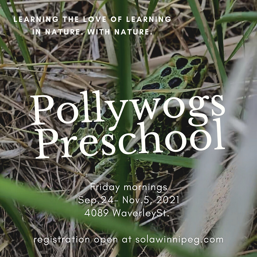 Pollywogs Preschool