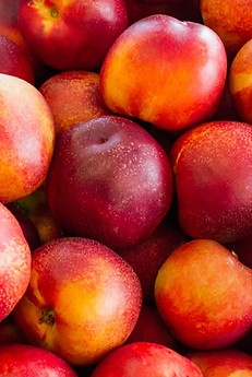 Nectarines