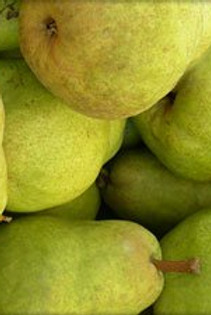 Pear