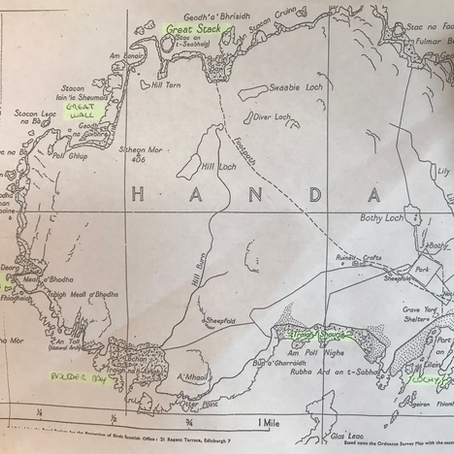 Field Recording On An Uninhabited Island
