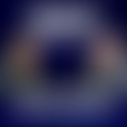 Chairman And CEO of Continental Properties James Schloemer