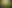 Website 2.png