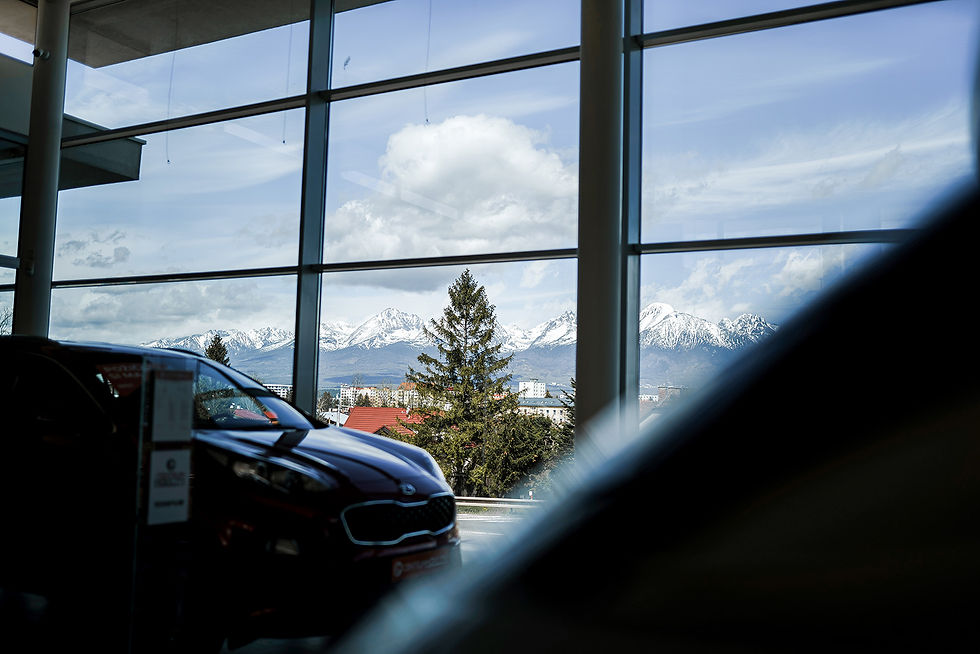 Miniatúra: Business Partner pre samostatnú auto prevádzku - autoservis a prenájom voz