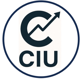 Accountant and Systems Analyst