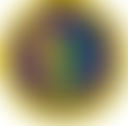 HTL Trainer 2 (Accommodation Services)