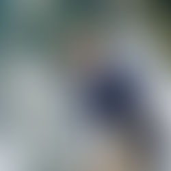 笠原弘子 "アフォガート"