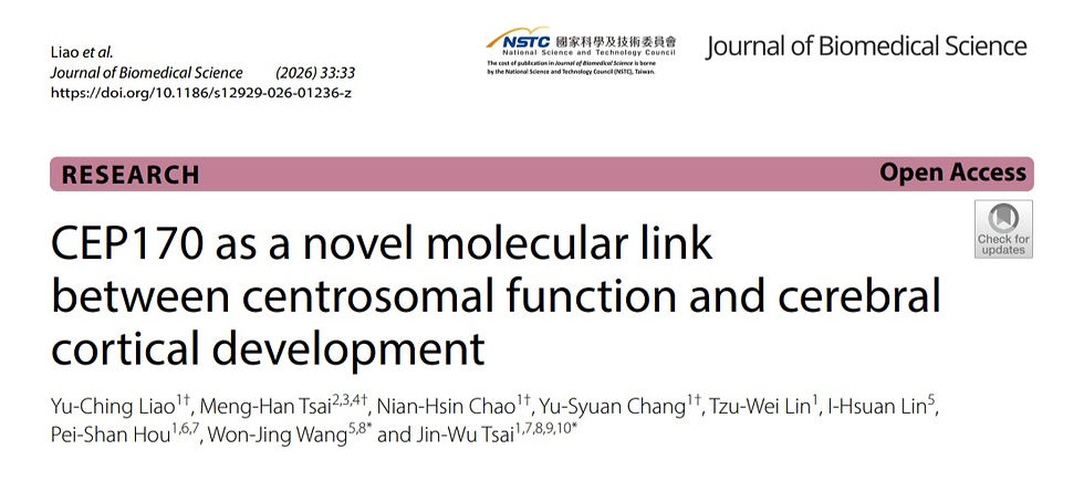 2026 Latest paper!!!