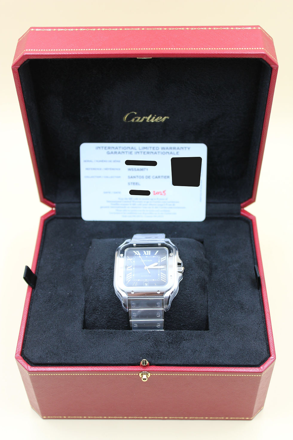 Miniatura: CARTIER SANTOS WSSA0071
