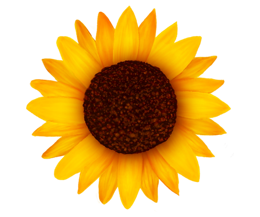 Untitled design (58).png