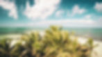 MEXICAN FLATS & MANGROVES