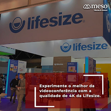 Lifesize