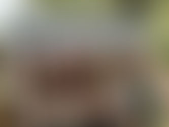 Sold out! Kenya Easter Itinerary March 30th to April 8th 2026: Bush, Beach and All Inclusive Baby