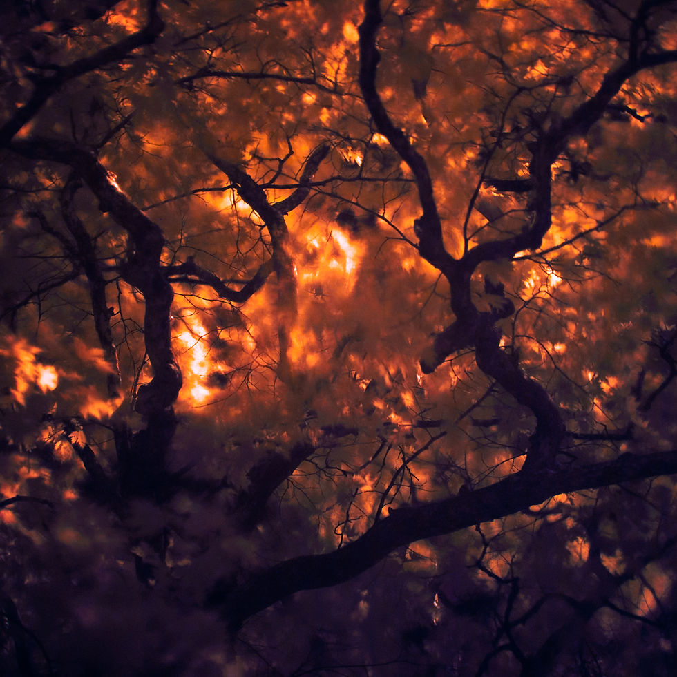 Infra-6