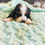 Thumbnail: Playful Basset Hound Pup