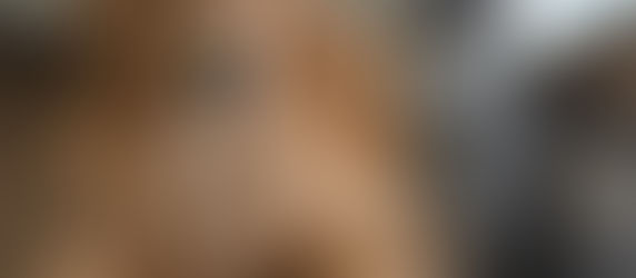 November Pet Energy Corner