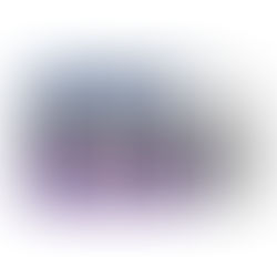 School Starts Rat Adoption Program