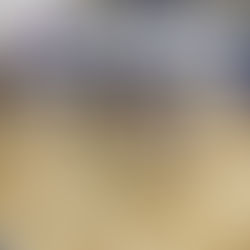 Lady Warriors Out-Triumphed