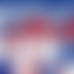 The Next Generation: Voting in 2016