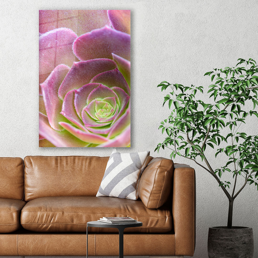 Thumbnail: Purple Pink and Green Succulent Wall Art