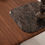 Thumbnail: Bueno - Coffee Table