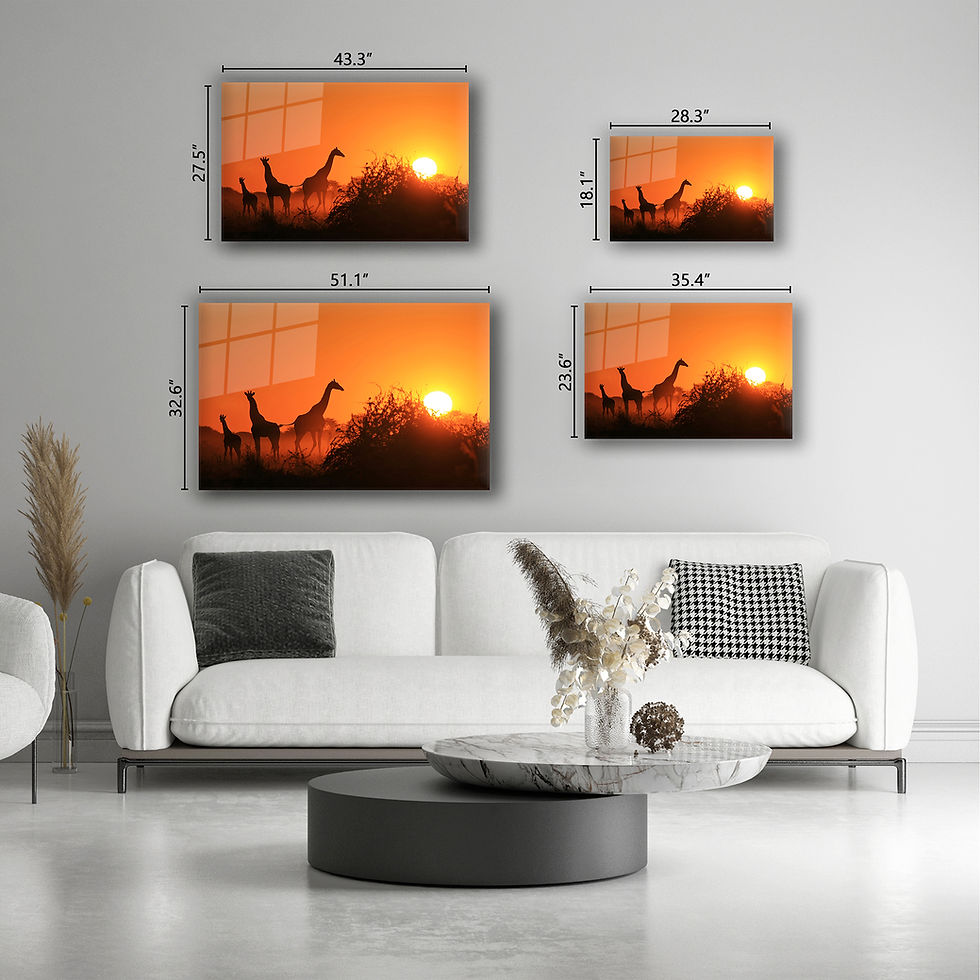 Thumbnail: Giraffes at Sunset