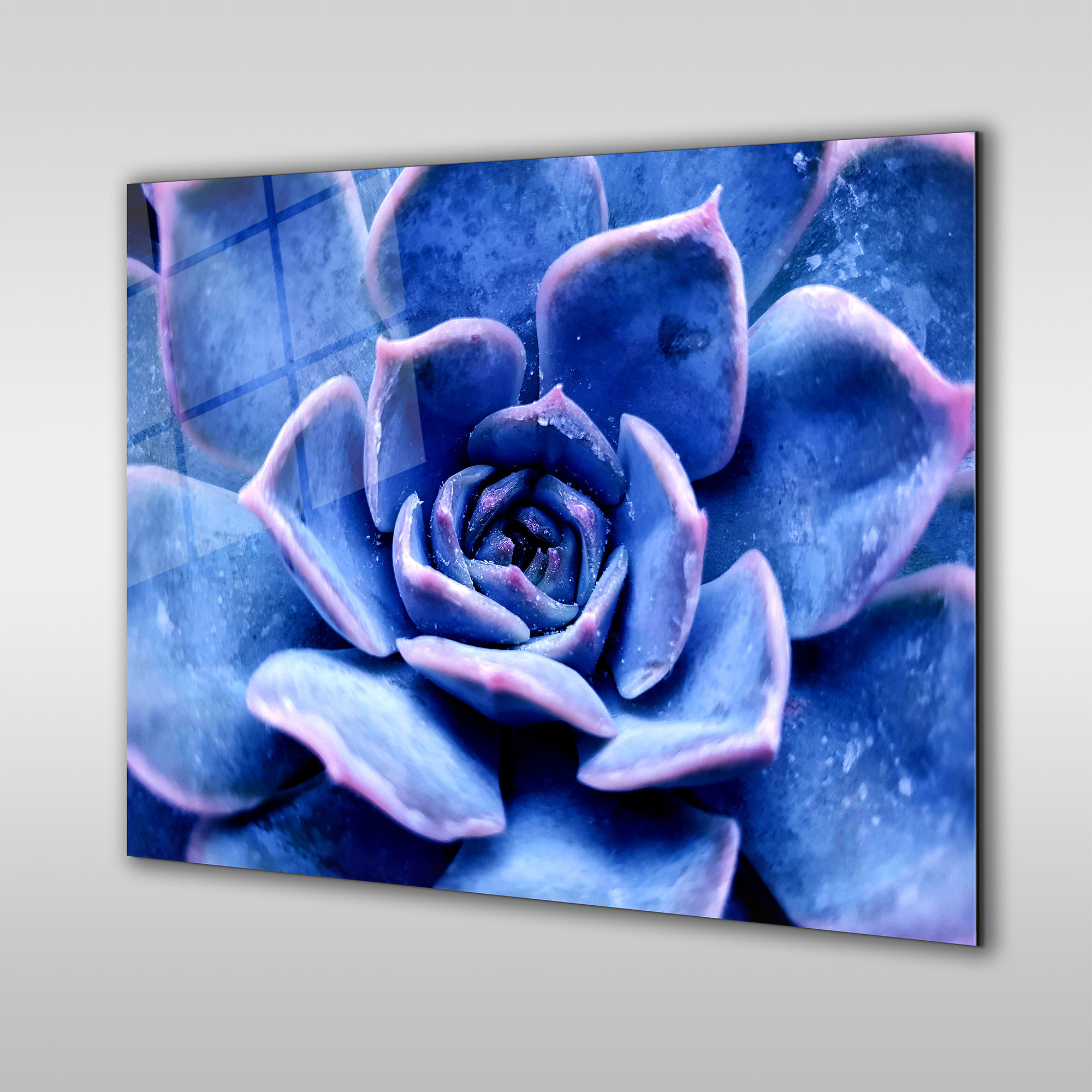 Purple and Blue Succulent Cactus Wall Art