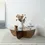 Thumbnail: Lily Glass Coffee Table / Black