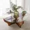 Thumbnail: Amphora Coffee Table / Natural