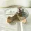 Thumbnail: Himalayas Glass Coffee Table / Solid Oak&Smoked Glass