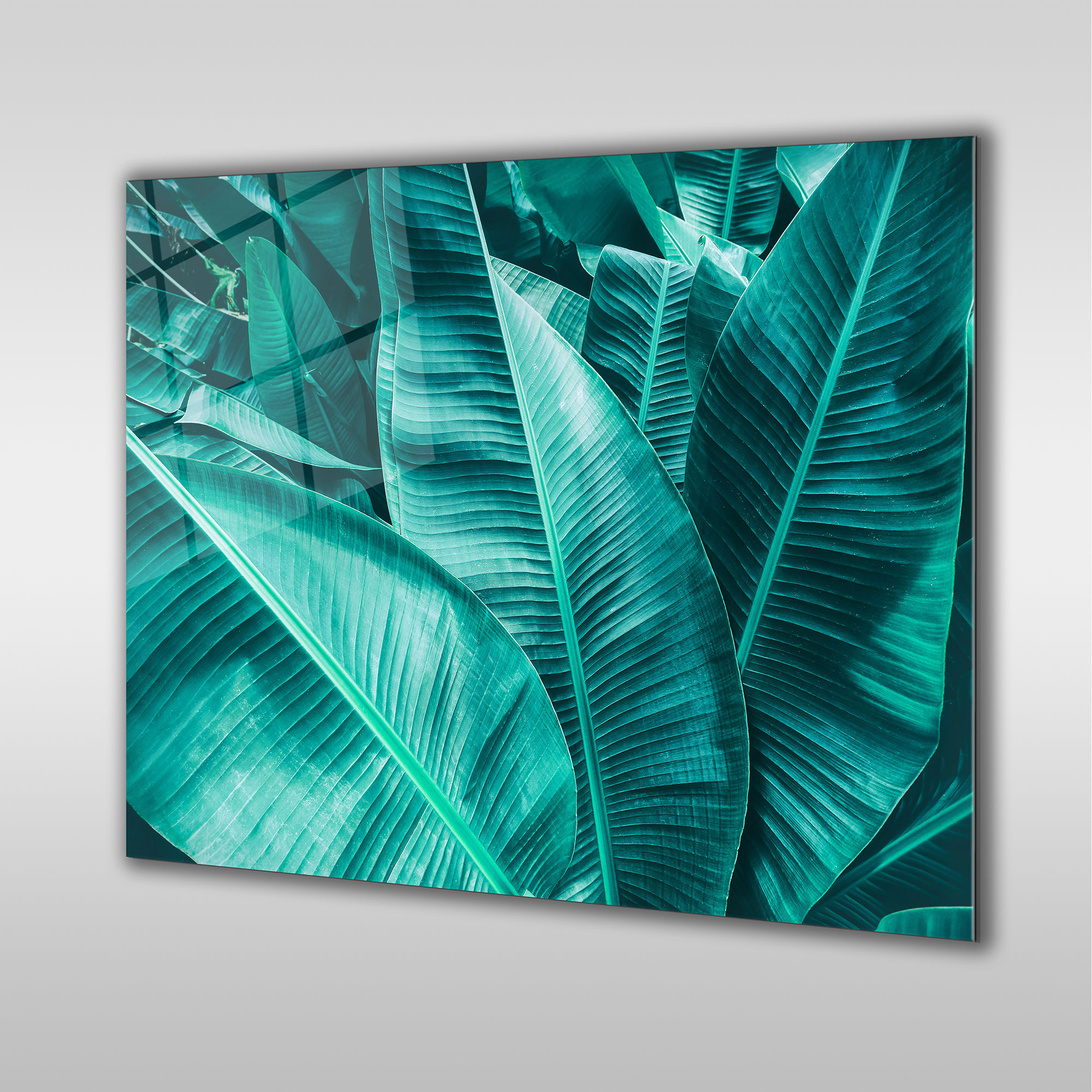 Tropical Banana Leaves Wall Art