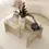 Thumbnail: New Escape Coffee Table / Walnut