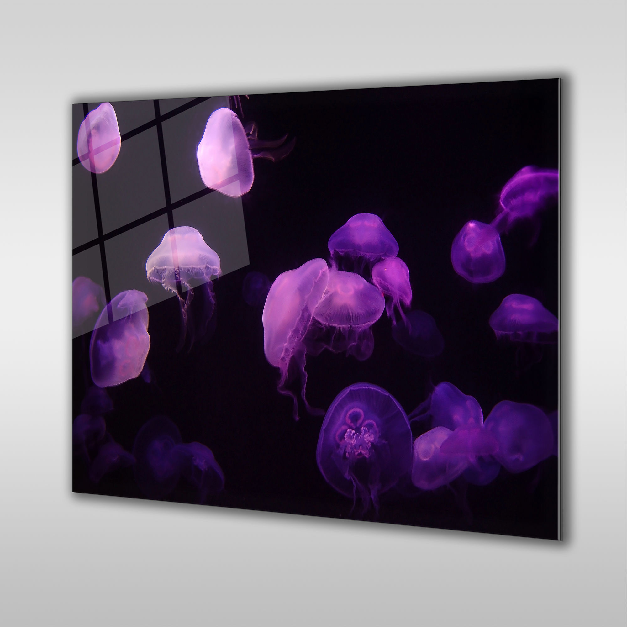 Purple Jelyfishes in the Dark