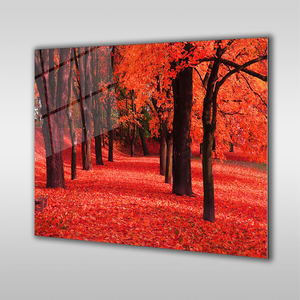 Red Autumn in the Park Wall Art