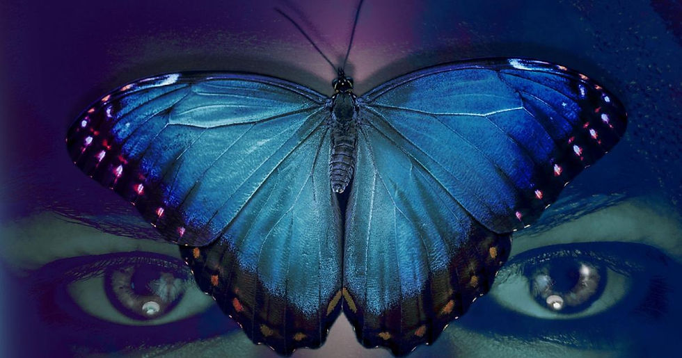 Mariposa azul cobalto: el salto de Lilian Yaffe de la academia a la ficción
