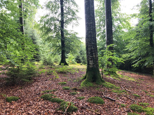 Energietankstelle