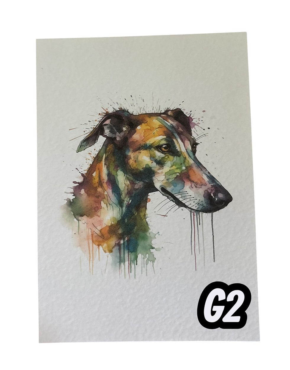 Thumbnail: Dog Prints