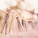 Clothes Line