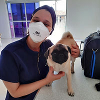 Isis - Pug (11).jpeg