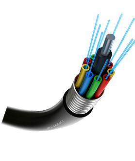 Fibra optica