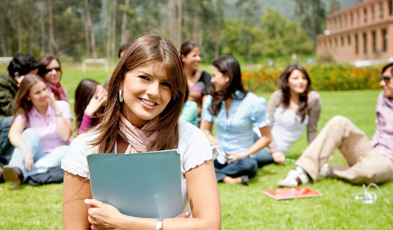 Why professional writers are must for Business Economics Homework Help