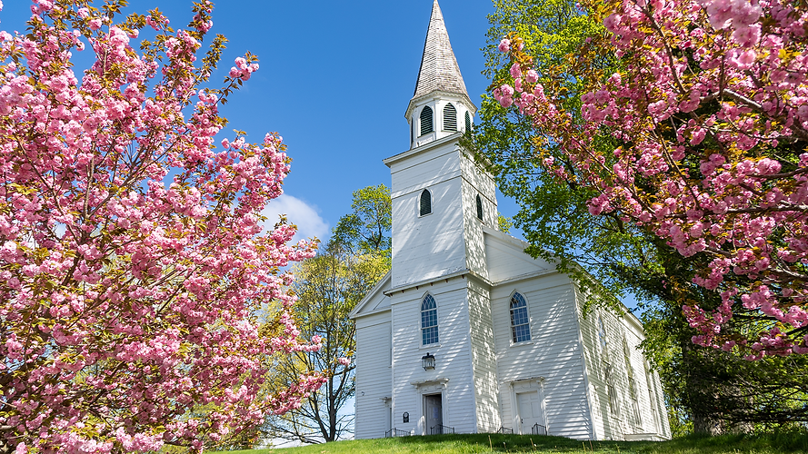 BLANK - SPRING 26.png