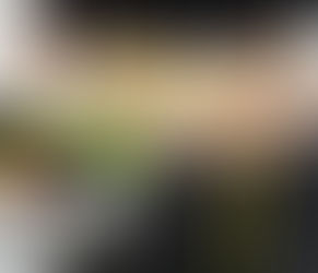 Pourquoi les régimes amaigrissants sont-ils dangereux, par Aurélie Houbre 