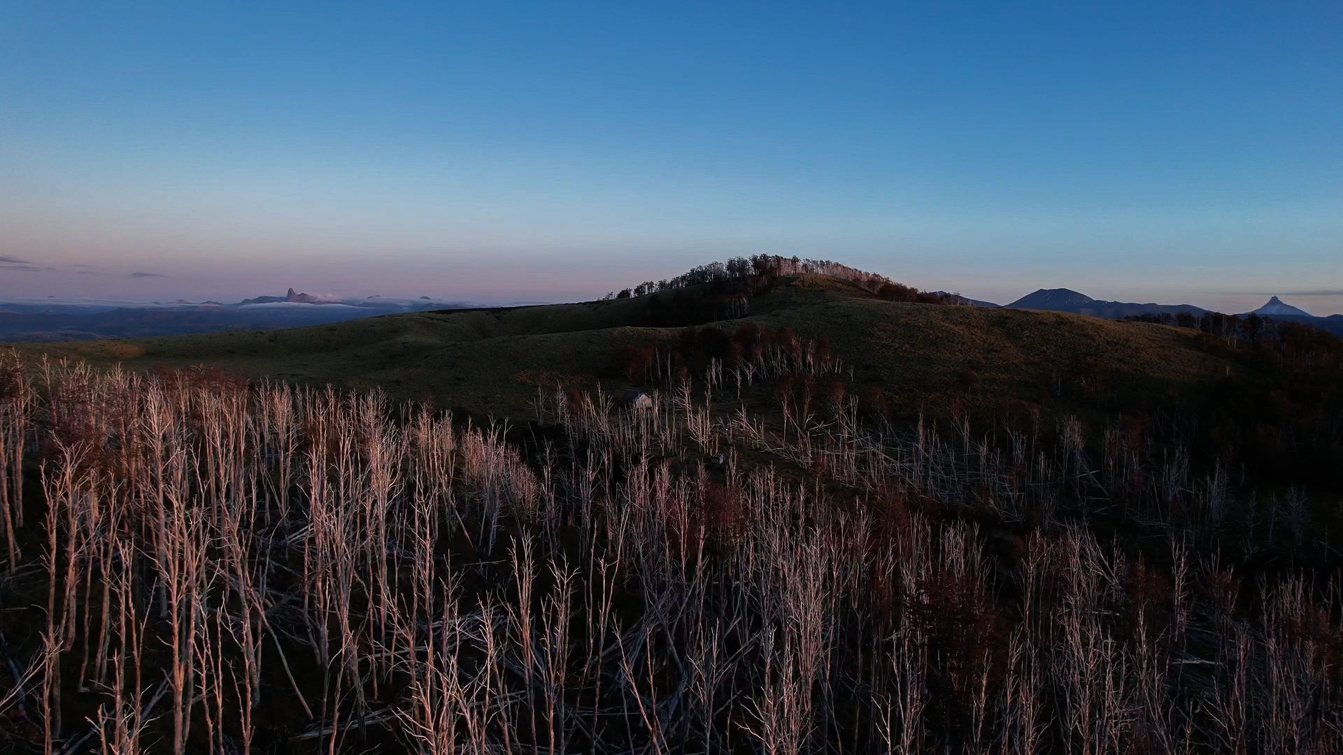 Puyehue National Park Chile