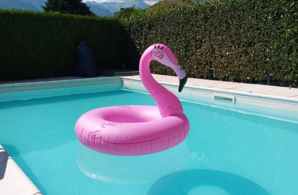Haus Barbara Ferienwohnung Novate Mezzola Pool Außenpool Lago di Mezzola die schönsten Unterkünfte im Valchiavenna Chiavenna Campodolcino Madesimo