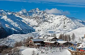 LARICI