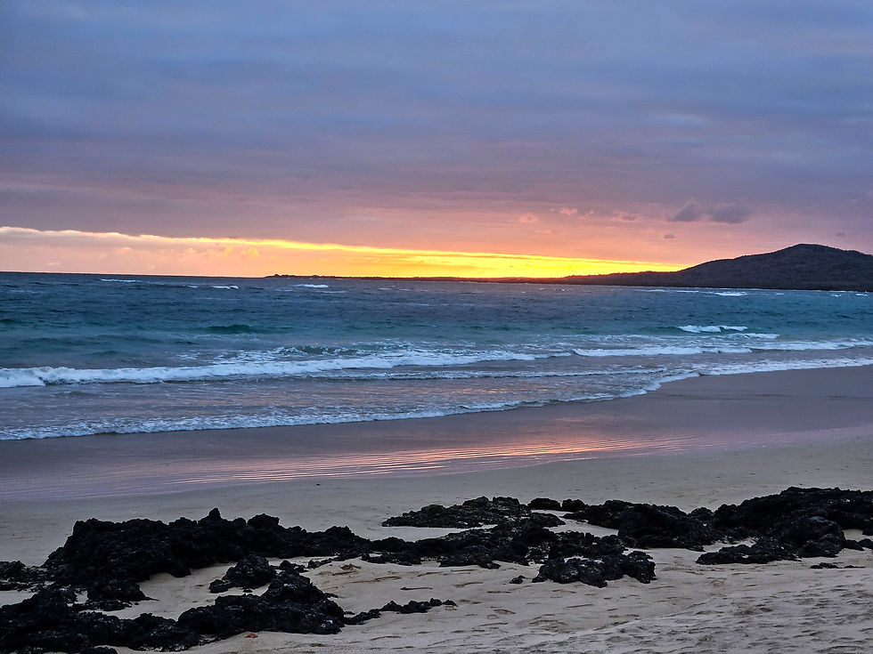 Isabela Galapagos Relax Hängematte Sunset Sonnenuntergang