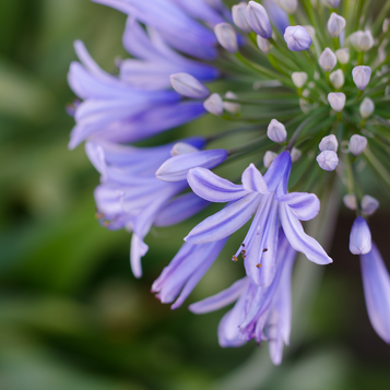 継続する|大切にしていること
