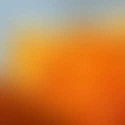 要件定義 とは?