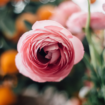 細やかな対応|大切にしていること